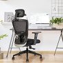 Innowin Comfortable Office Chair For Prolong Sitting
